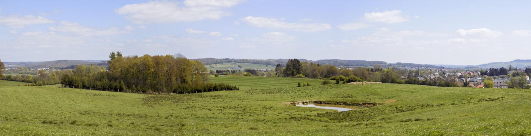Ligne Maginot - 24A - BOIS DE FLIZE EST - (Blockhaus pour canon) - Vue du nord vers l'est