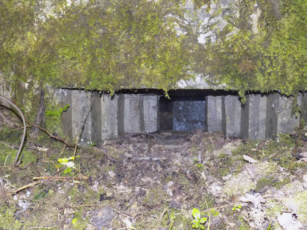 Ligne Maginot - 27A - RIMONNEAU EST - (Blockhaus pour canon) - Face frontale gauche, créneau Hotchkiss - R Tucker