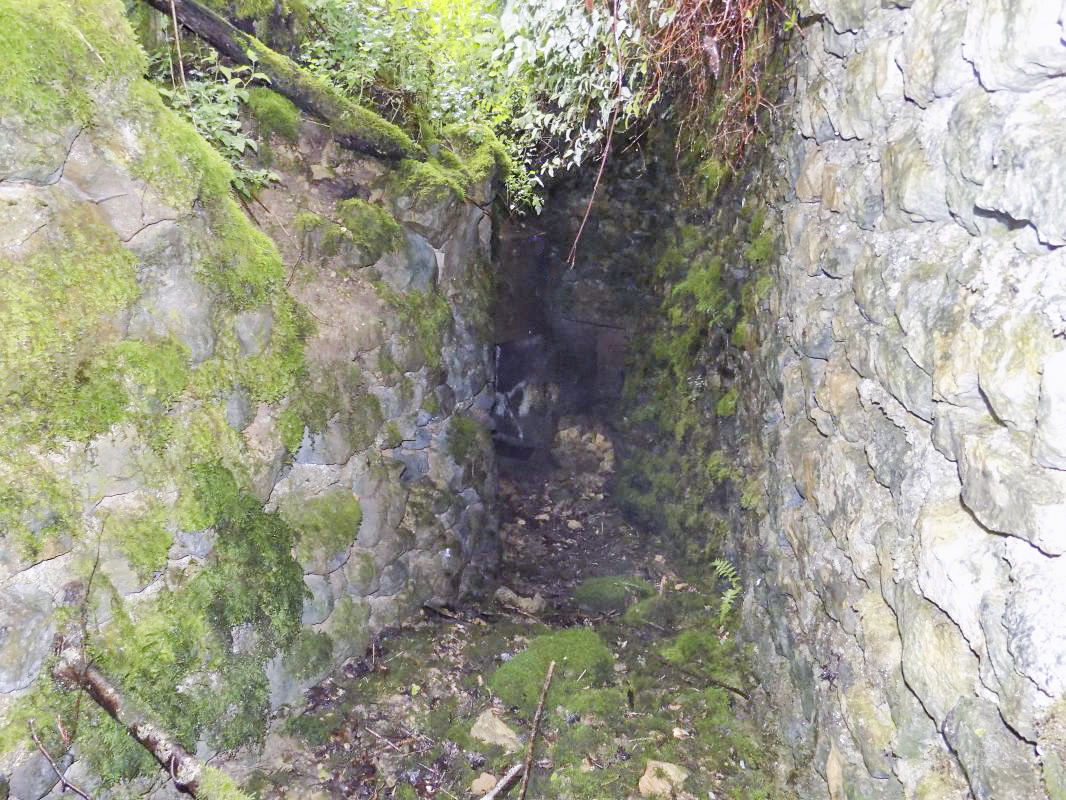 Ligne Maginot - 27A - RIMONNEAU EST - (Blockhaus pour canon) - Tranchée vers l'entrée - R Tucker