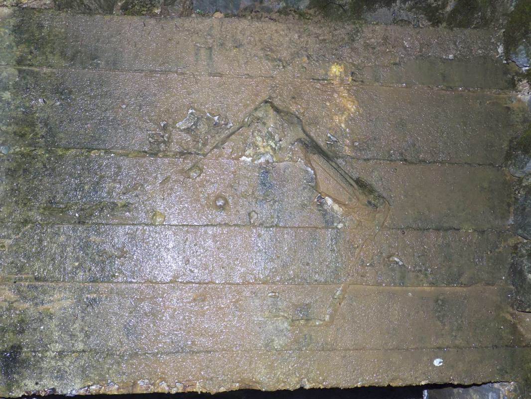 Ligne Maginot - 27A - RIMONNEAU EST - (Blockhaus pour canon) - Ce qui reste de l’emblème du Génie, et l'impact de balles - R Tucker