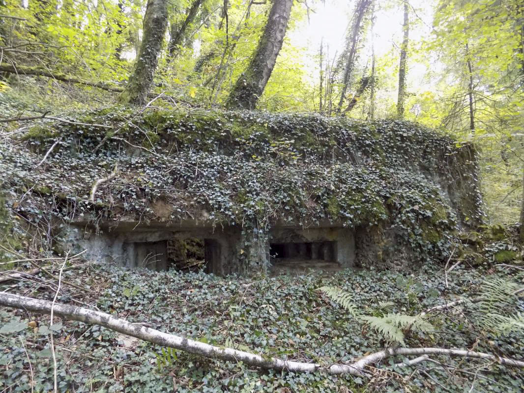 Ligne Maginot - 28A - RIMONNEAU - (Blockhaus pour canon) - Face frontale, créneaux AC et Hotchkiss - R Tucker