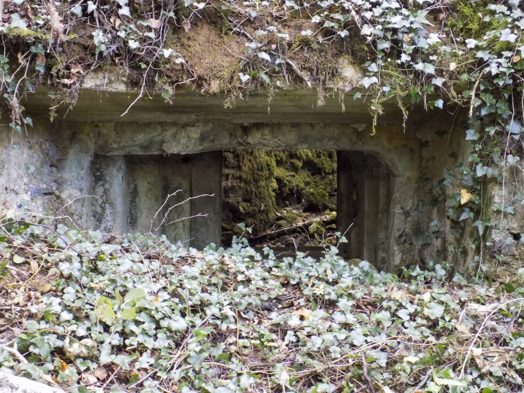 Ligne Maginot - 28A - RIMONNEAU - (Blockhaus pour canon) - Face frontale, créneaux AC - R Tucker