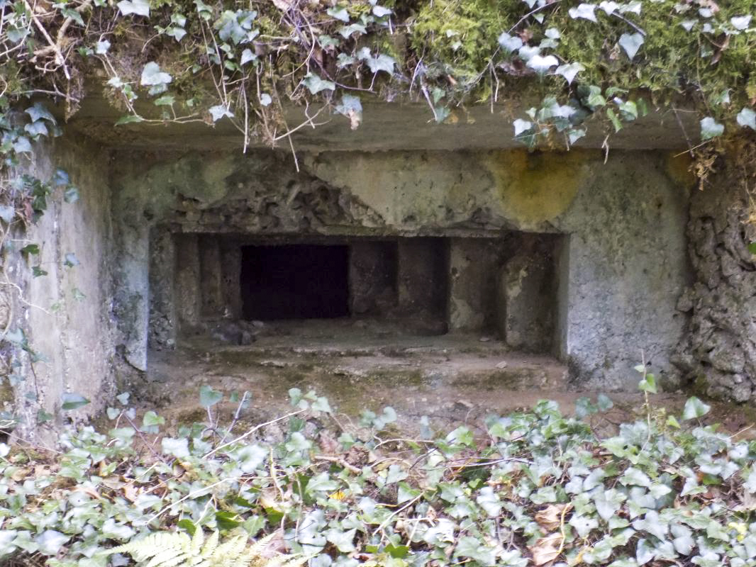 Ligne Maginot - 28A - RIMONNEAU - (Blockhaus pour canon) - Face frontale, créneau Hotchkiss - R Tucker