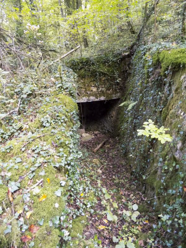 Ligne Maginot - 28A - RIMONNEAU - (Blockhaus pour canon) - L'accès vers l'entrée AC - R Tucker