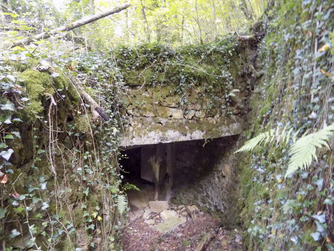 Ligne Maginot - 28A - RIMONNEAU - (Blockhaus pour canon) - L'entrée AC - R Tucker