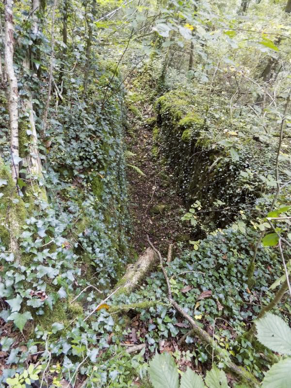 Ligne Maginot - 28A - RIMONNEAU - (Blockhaus pour canon) - Vue de l'accès vers l'entrée - R Tucker
