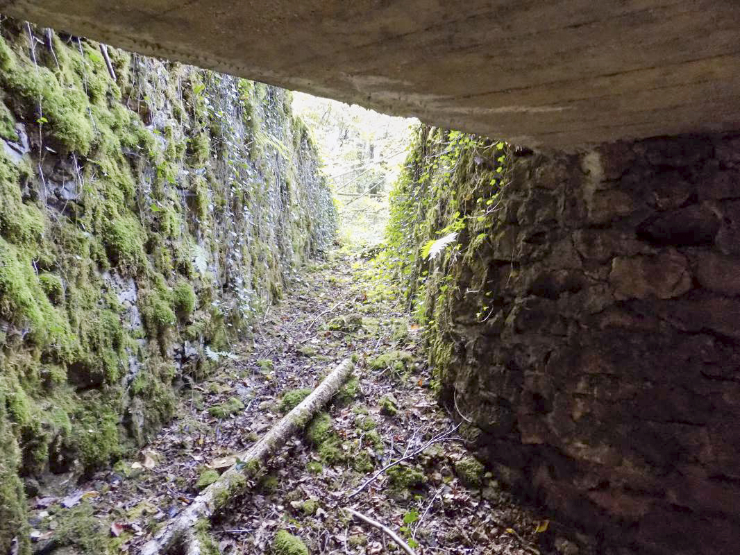 Ligne Maginot - 28A - RIMONNEAU - (Blockhaus pour canon) - Vue de l'entrée - R Tucker