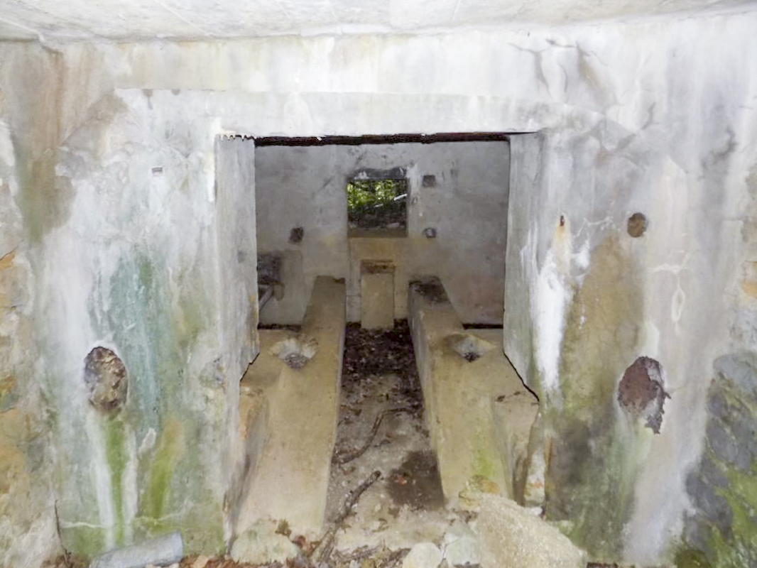 Ligne Maginot - 28A - RIMONNEAU - (Blockhaus pour canon) - L'entrée AC - R Tucker