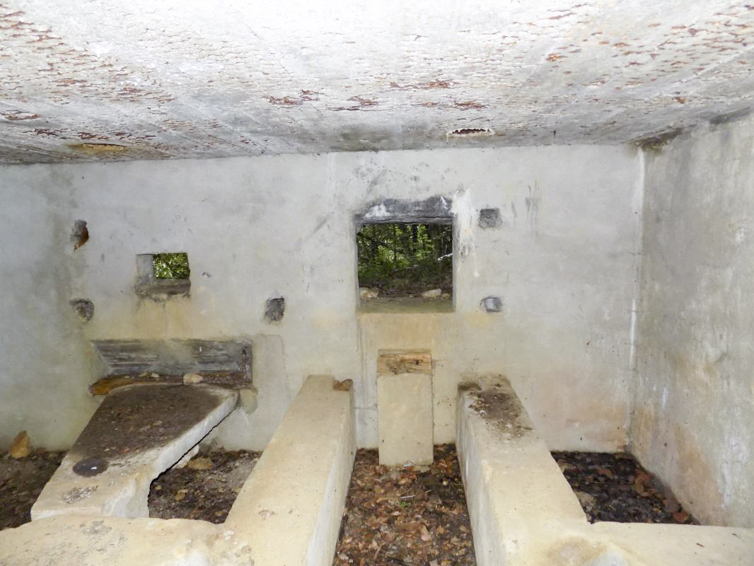 Ligne Maginot - 28A - RIMONNEAU - (Blockhaus pour canon) - Face frontale, créneaux Hotchkiss et AC - R Tucker