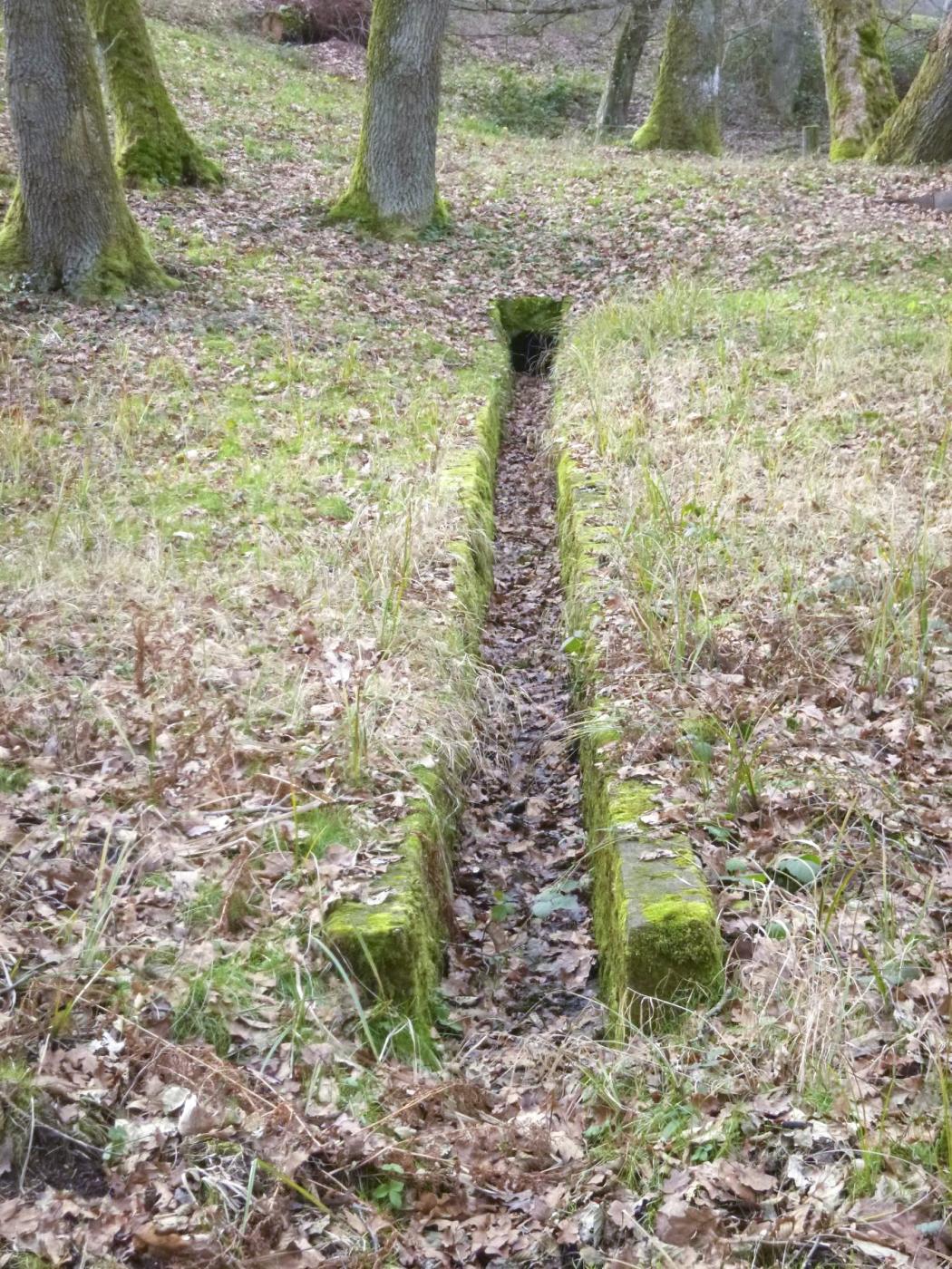 Ligne Maginot - DAMBACH SUD - C56 - (Casemate d'infanterie - Double) - Sortie de l'égout - J.luc