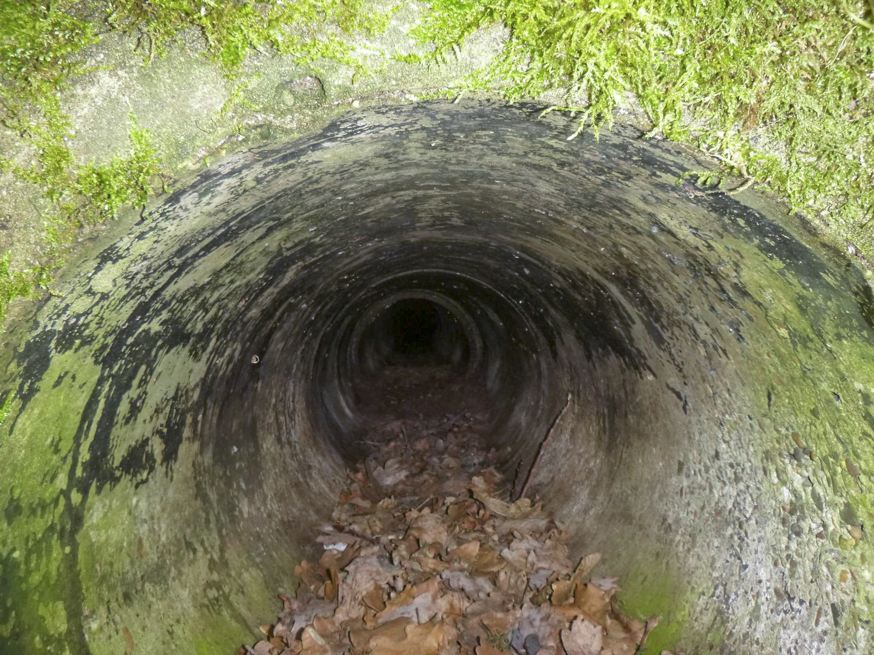 Ligne Maginot - DAMBACH SUD - C56 - (Casemate d'infanterie - Double) - Sortie de l'égout - J.luc