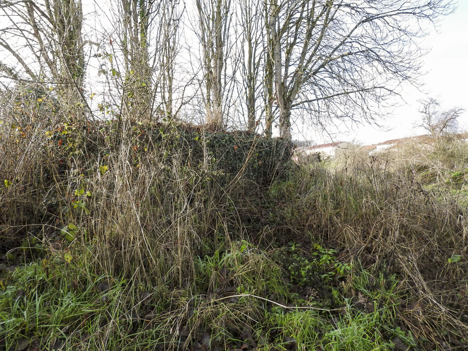 Ligne Maginot - KEMPLICH SUD 2 - (Blockhaus pour arme infanterie) - La façade de tir. - STENGER Mathieu