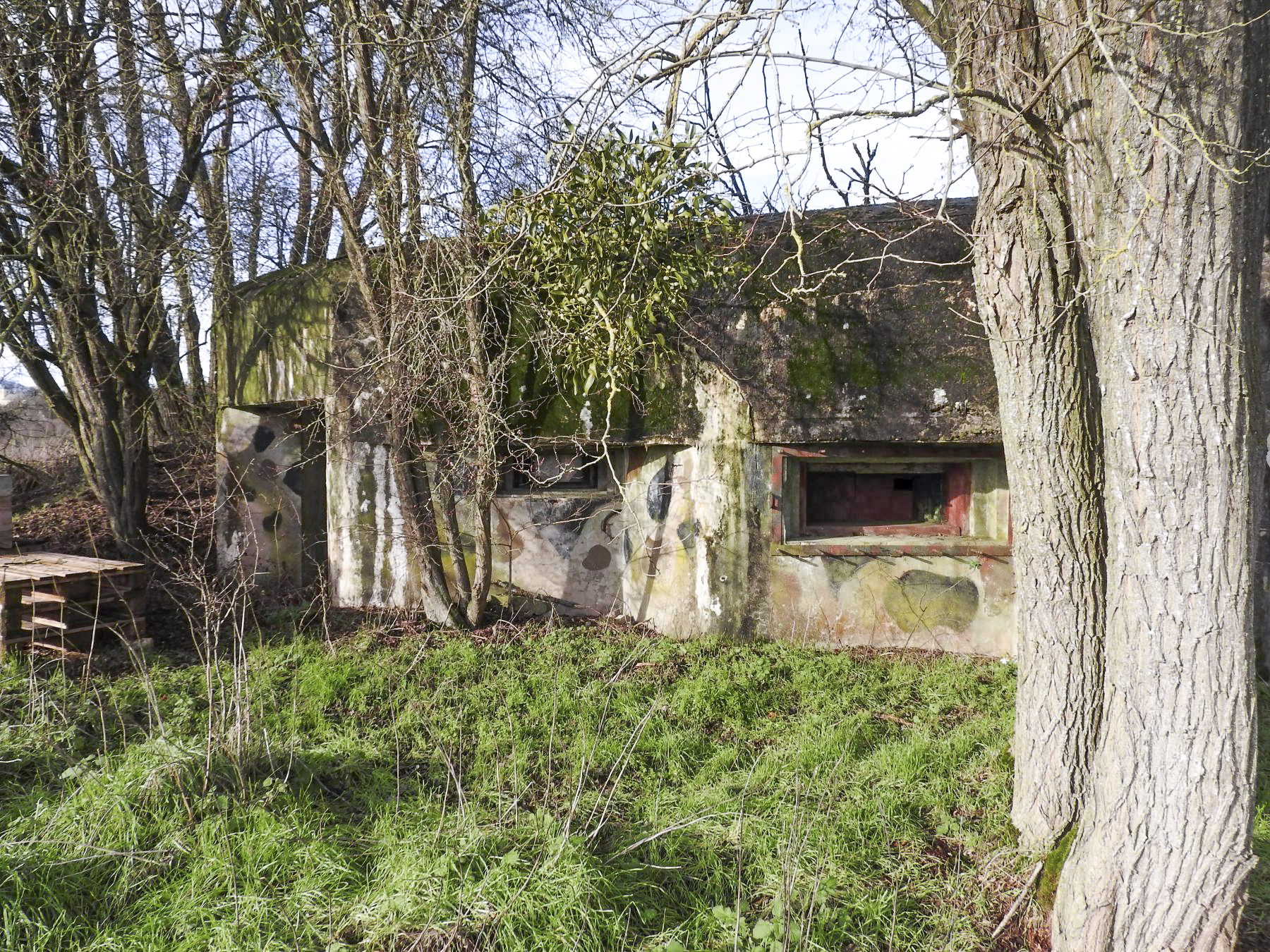 Ligne Maginot - BB39 - LANGLANGT - (Blockhaus pour canon) - La façade de tir. - STENGER Mathieu