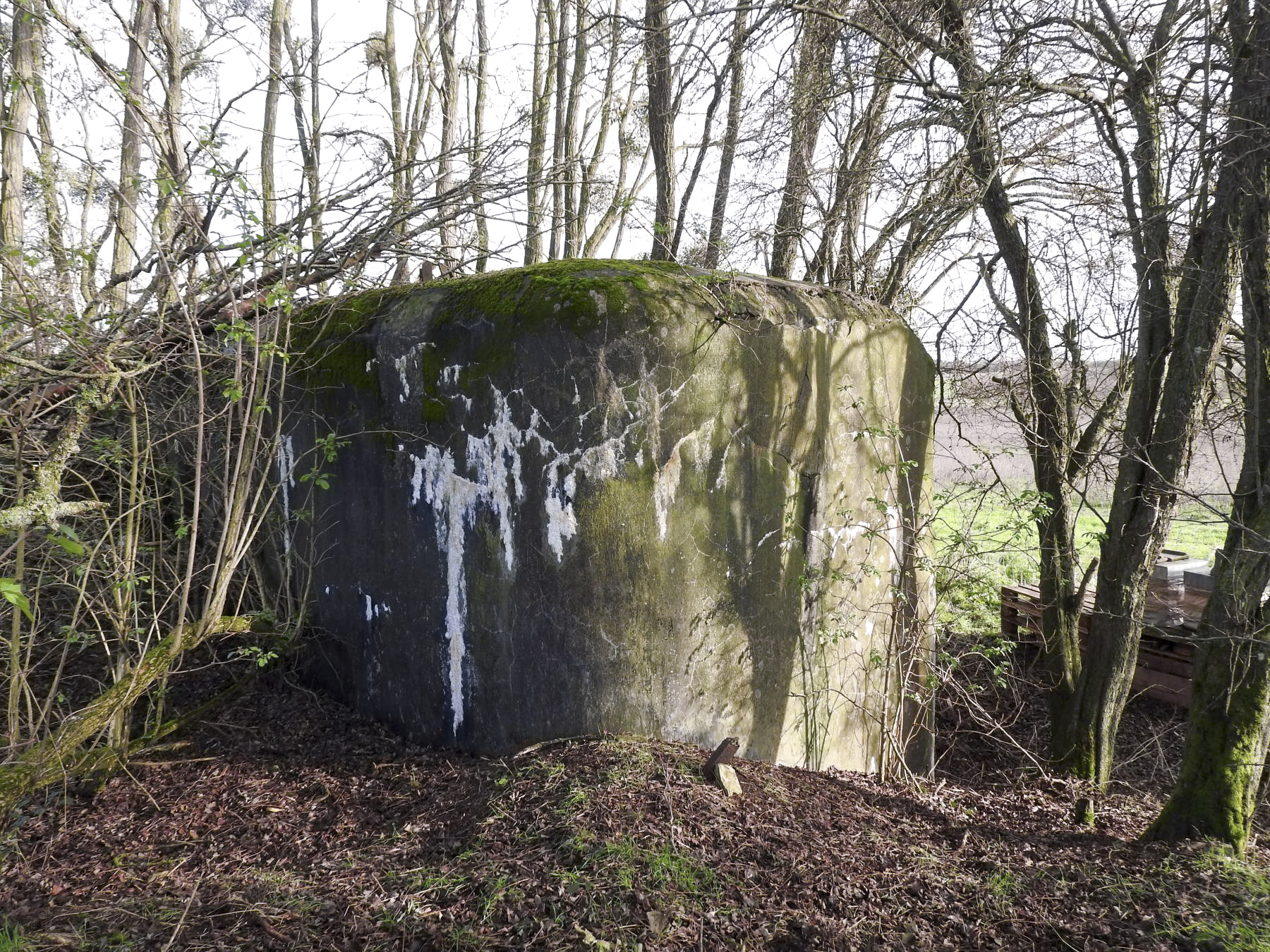 Ligne Maginot - BB39 - LANGLANGT - (Blockhaus pour canon) -  - STENGER Mathieu