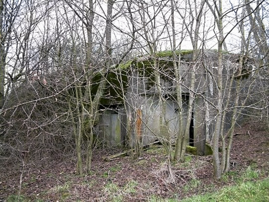 Ligne Maginot - BB38 - (Blockhaus pour canon) -  - AALMA - Lignemaginot.com