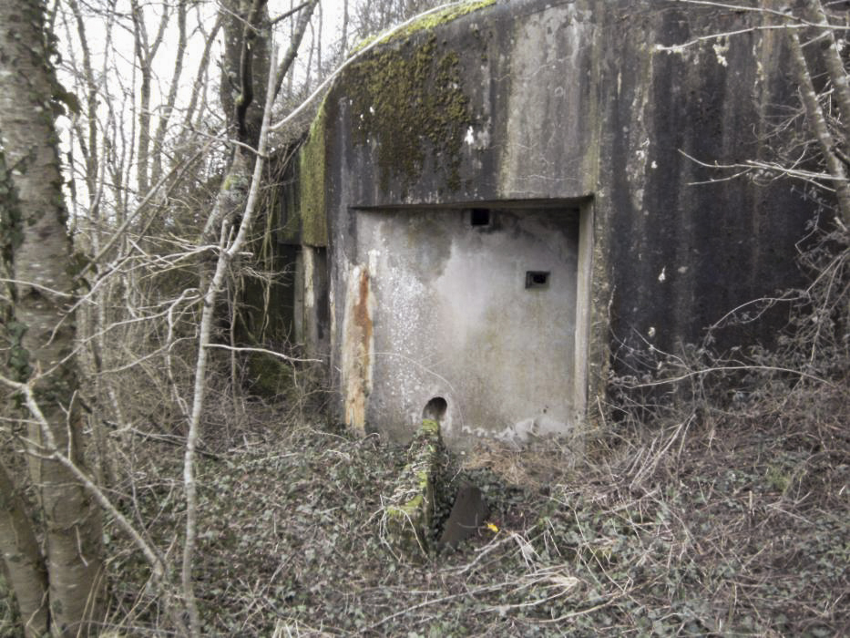 Ligne Maginot - BB38 - (Blockhaus pour canon) - Vue de la façade  - GLÜCKSJÄGER GJ13
