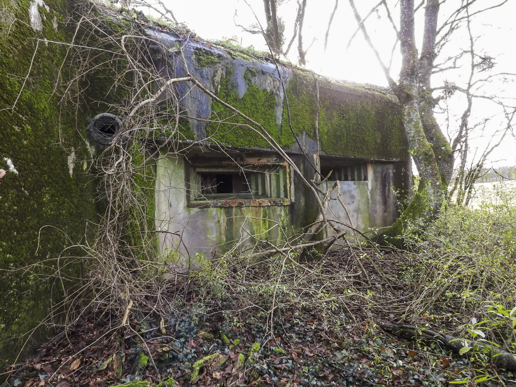 Ligne Maginot - BB38 - (Blockhaus pour canon) - La façade de tir avec les créneaux mitrailleuse et anti-char. - STENGER Mathieu