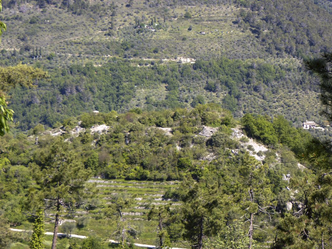 Ligne Maginot - CASTES RUINES (CR) - (Ouvrage d'infanterie) - Vue d'ensemble