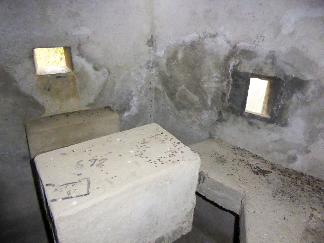 Ligne Maginot - SAINT DALMAS LE SELVAGE (SD) - (Ouvrage d'infanterie) - Bloc 1 - ELLENA-CUNY