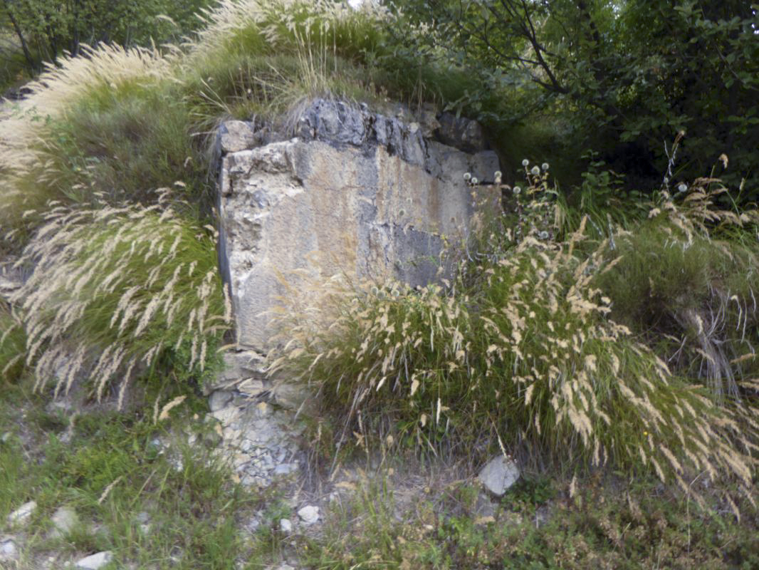 Ligne Maginot - SAINT DALMAS LE SELVAGE (SD) - (Ouvrage d'infanterie) - Bloc 1
L'entrée comblée