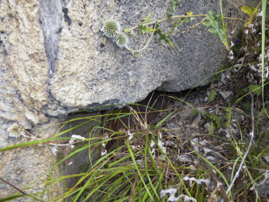 Ligne Maginot - SAINT DALMAS LE SELVAGE (SD) - (Ouvrage d'infanterie) - L'entrée comblée - ELLENA-CUNY