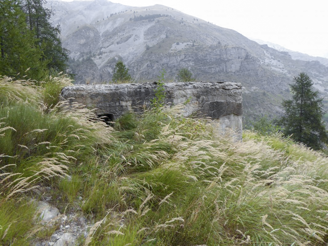 Ligne Maginot - SAINT DALMAS LE SELVAGE (SD) - (Ouvrage d'infanterie) - Bloc 2