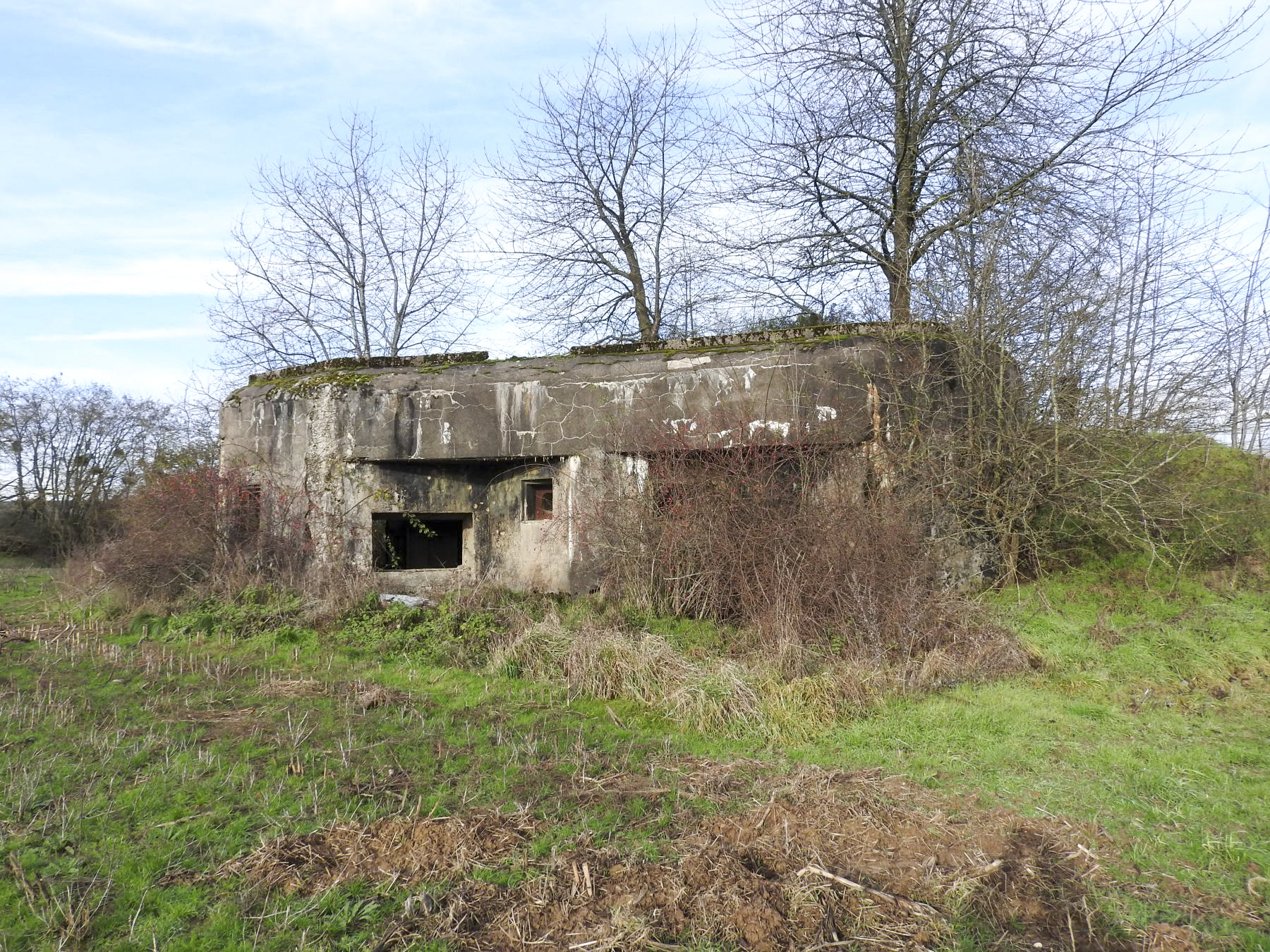 Ligne Maginot - BB45 - (Blockhaus pour canon) - La façade de tir vers l'est. - STENGER Mathieu