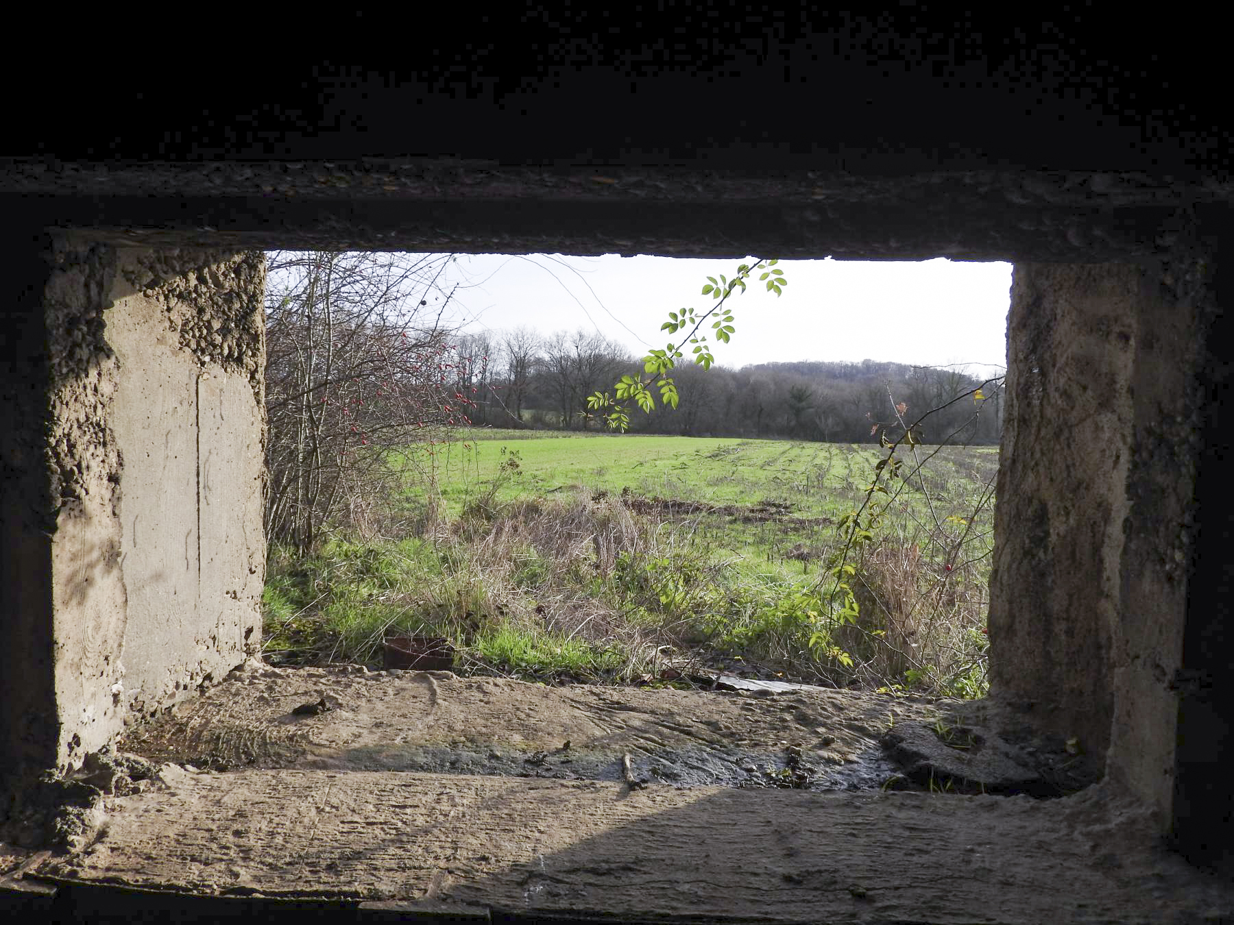 Ligne Maginot - BB45 - (Blockhaus pour canon) - Le champ de tir du canon anti-char. - STENGER Mathieu
