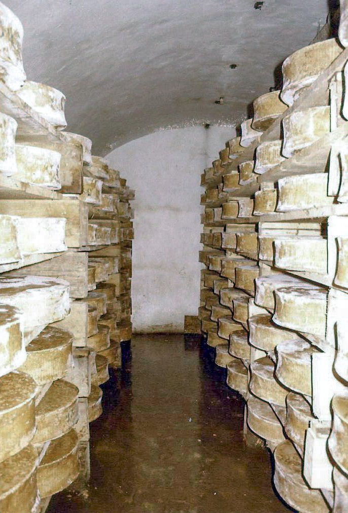 Ligne Maginot - CAVE A CANON - (Ouvrage d'infanterie) - Cave à Canon ou … à Fromage
1980 - Jean-Bernard Wahl