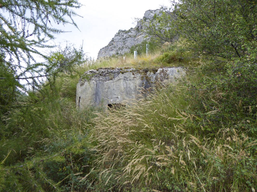 Ligne Maginot - SAINT DALMAS LE SELVAGE (SD) - (Ouvrage d'infanterie) - Bloc 5