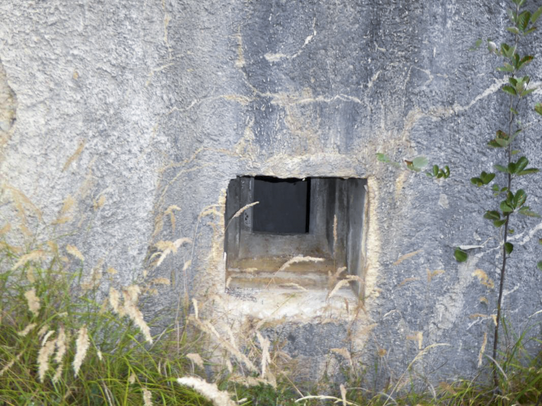 Ligne Maginot - SAINT DALMAS LE SELVAGE (SD) - (Ouvrage d'infanterie) - Bloc 5