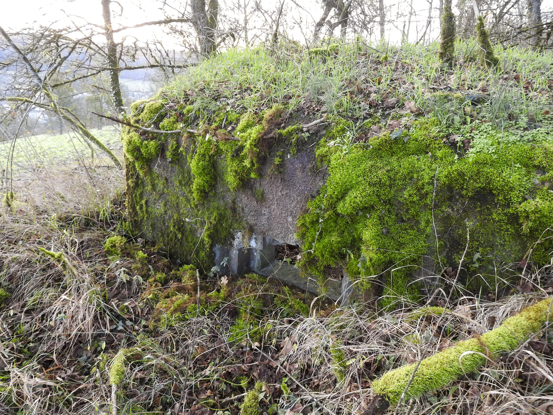 Ligne Maginot - BBO8 - (Blockhaus pour canon) - La façade de tir. - STENGER Mathieu