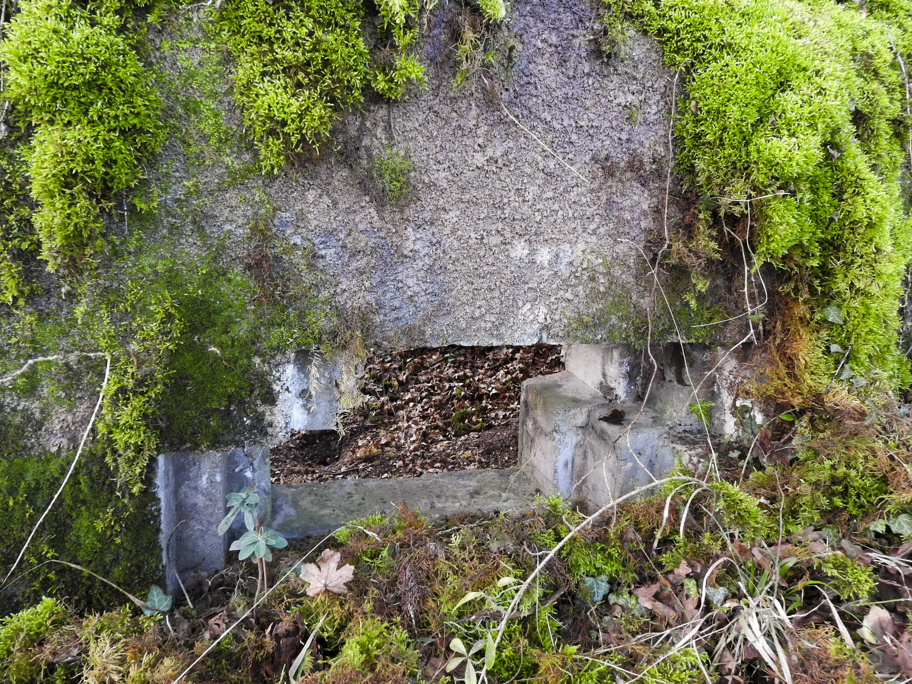Ligne Maginot - BBO8 - (Blockhaus pour canon) - Le créneau. - STENGER Mathieu