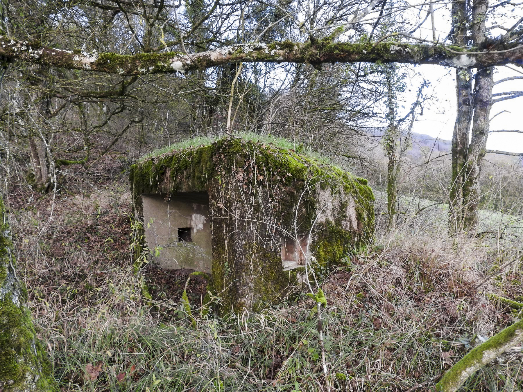 Ligne Maginot - BBO8 - (Blockhaus pour canon) - Le créneau latéral pour FM. - STENGER Mathieu