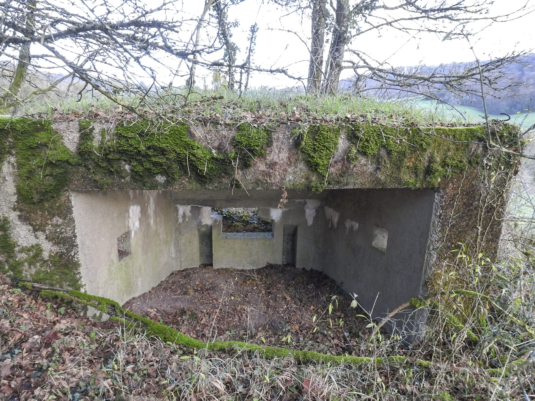 Ligne Maginot - BBO8 - (Blockhaus pour canon) - L'arrière du bouclier anti-char. - STENGER Mathieu