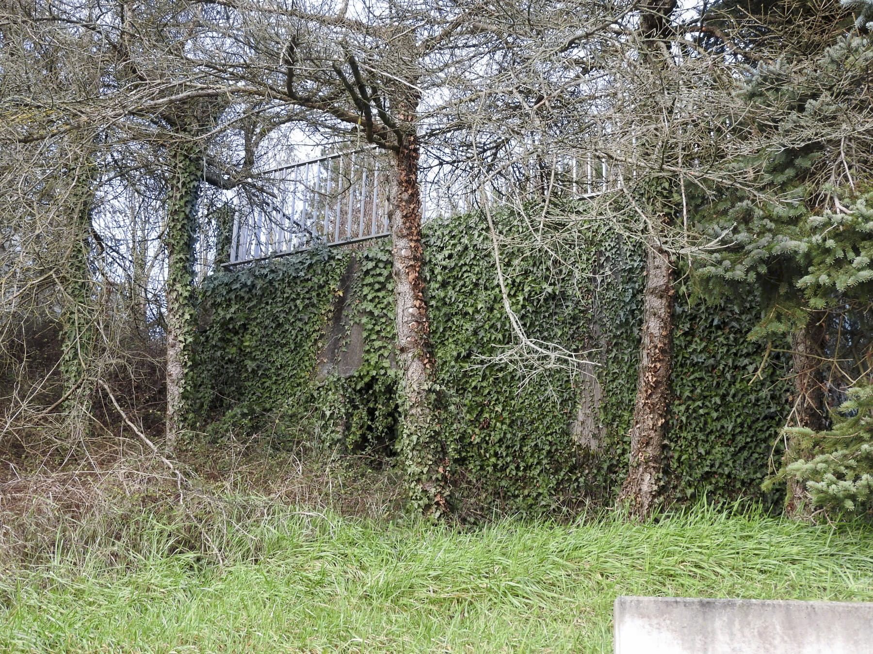 Ligne Maginot - BB382 - (Blockhaus pour arme infanterie) - Le côté de l'entrée. - STENGER Mathieu