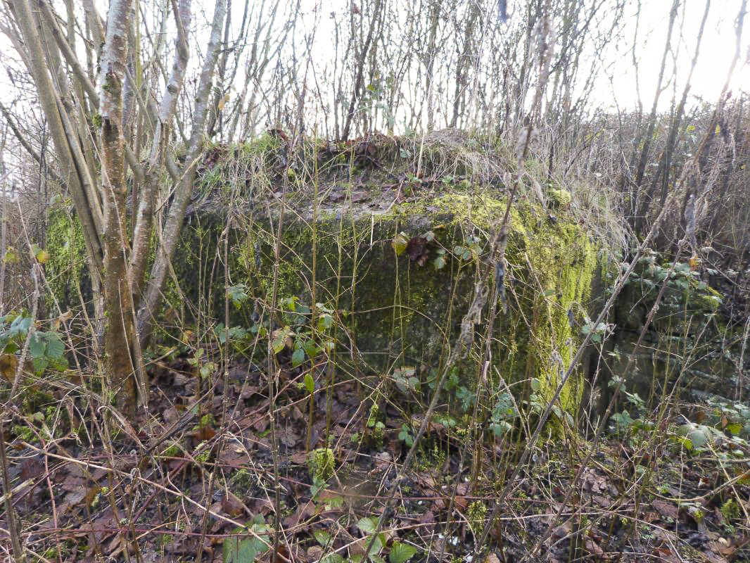 Ligne Maginot - BB77-E - LE LINHAT SUD - (Blockhaus pour arme infanterie) - 
