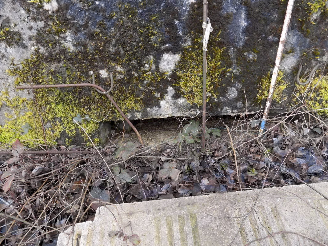 Ligne Maginot - BB77 - LES HACHES OUEST - (Blockhaus pour canon) - Créneau droite