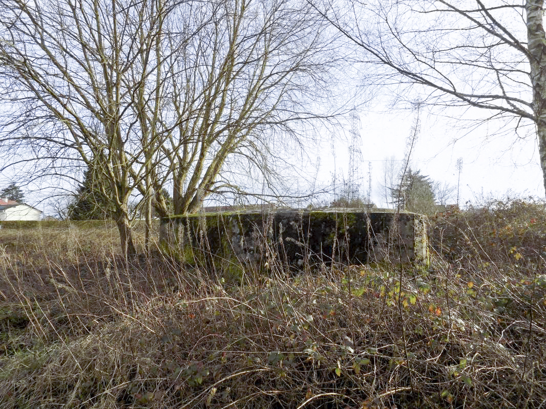 Ligne Maginot - BB77 - LES HACHES OUEST - (Blockhaus pour canon) - Face gauche, vers l'ouest