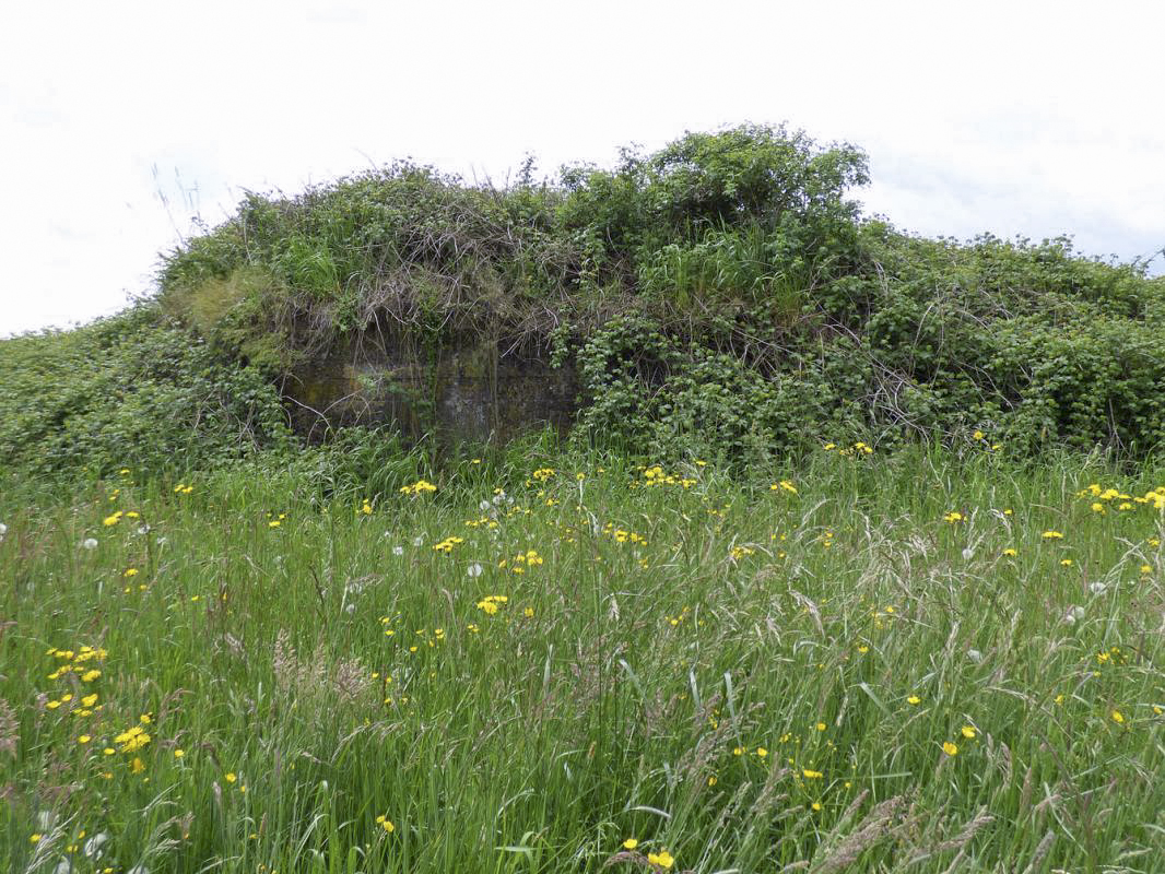 Ligne Maginot - BB80-A - LE TILLEUL - (Blockhaus pour canon) -  - JMBrams