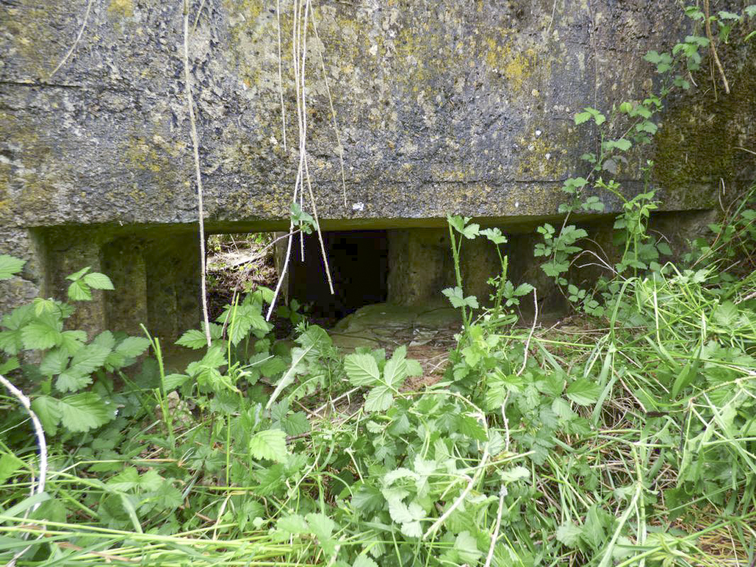 Ligne Maginot - BB80-A - LE TILLEUL - (Blockhaus pour canon) - 