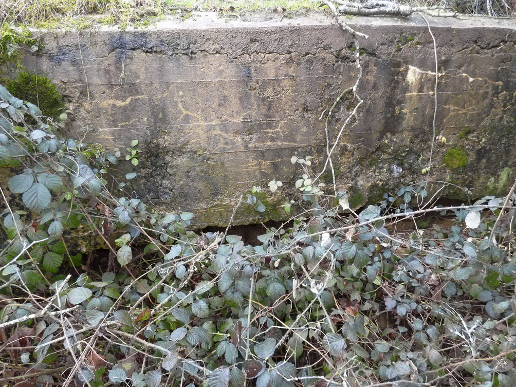 Ligne Maginot - BB80-C - BOUTANCOURT - (Blockhaus pour canon) - 
