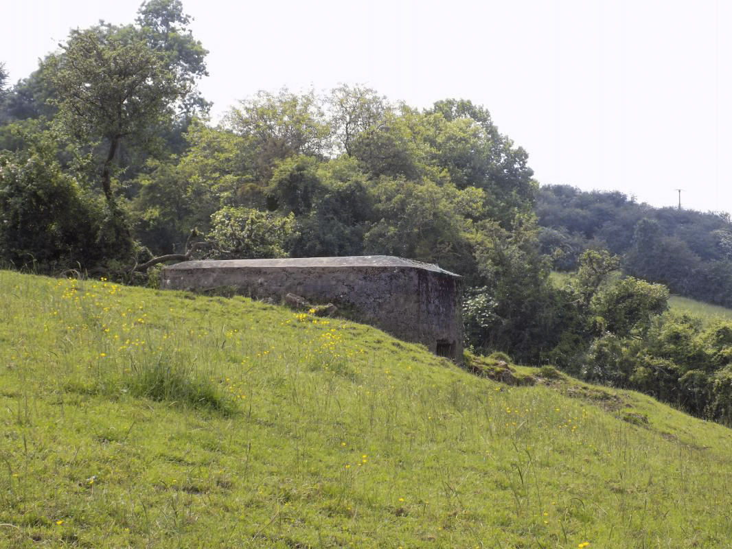 Ligne Maginot - BB80 - L'ORANGERIE - (Blockhaus pour canon) - 