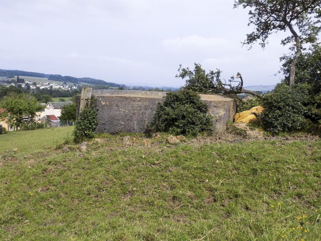 Ligne Maginot - BB80 - L'ORANGERIE - (Blockhaus pour canon) - Face gauche
