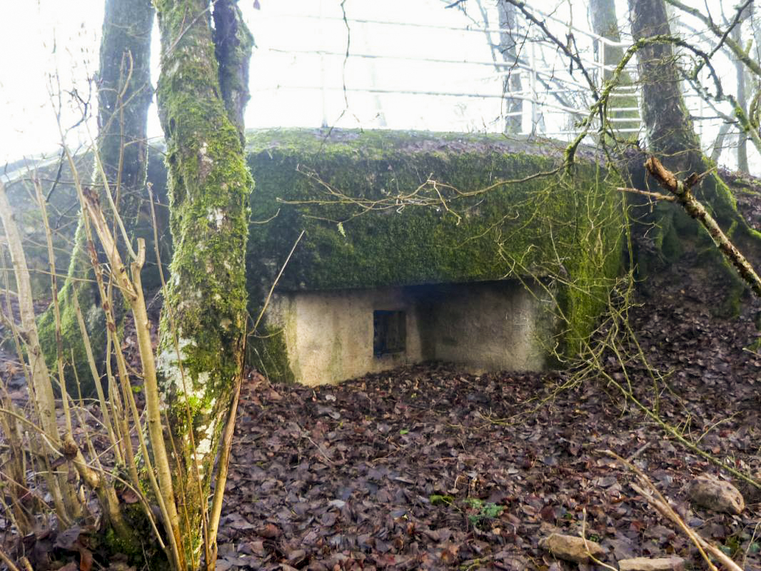 Ligne Maginot - BB82-B - LES FONZEES EST - (Observatoire d'infanterie) -  - JMBrams