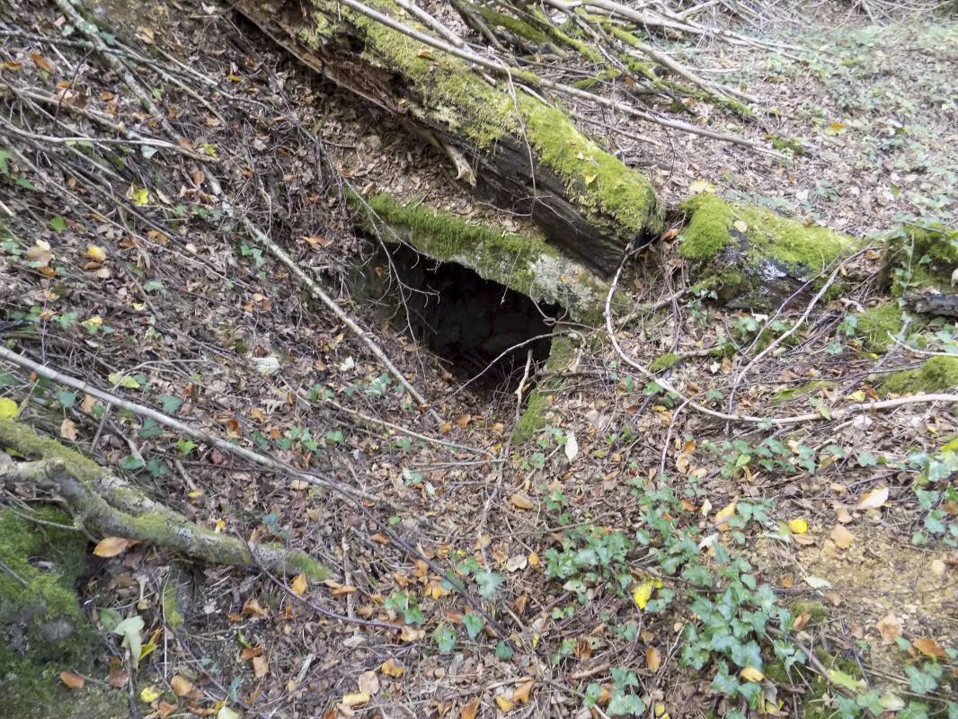 Ligne Maginot - La FALAISE (CM2 / III / 148° RIF) ( PC de Sous-Quartier ) - L'entrée ouest