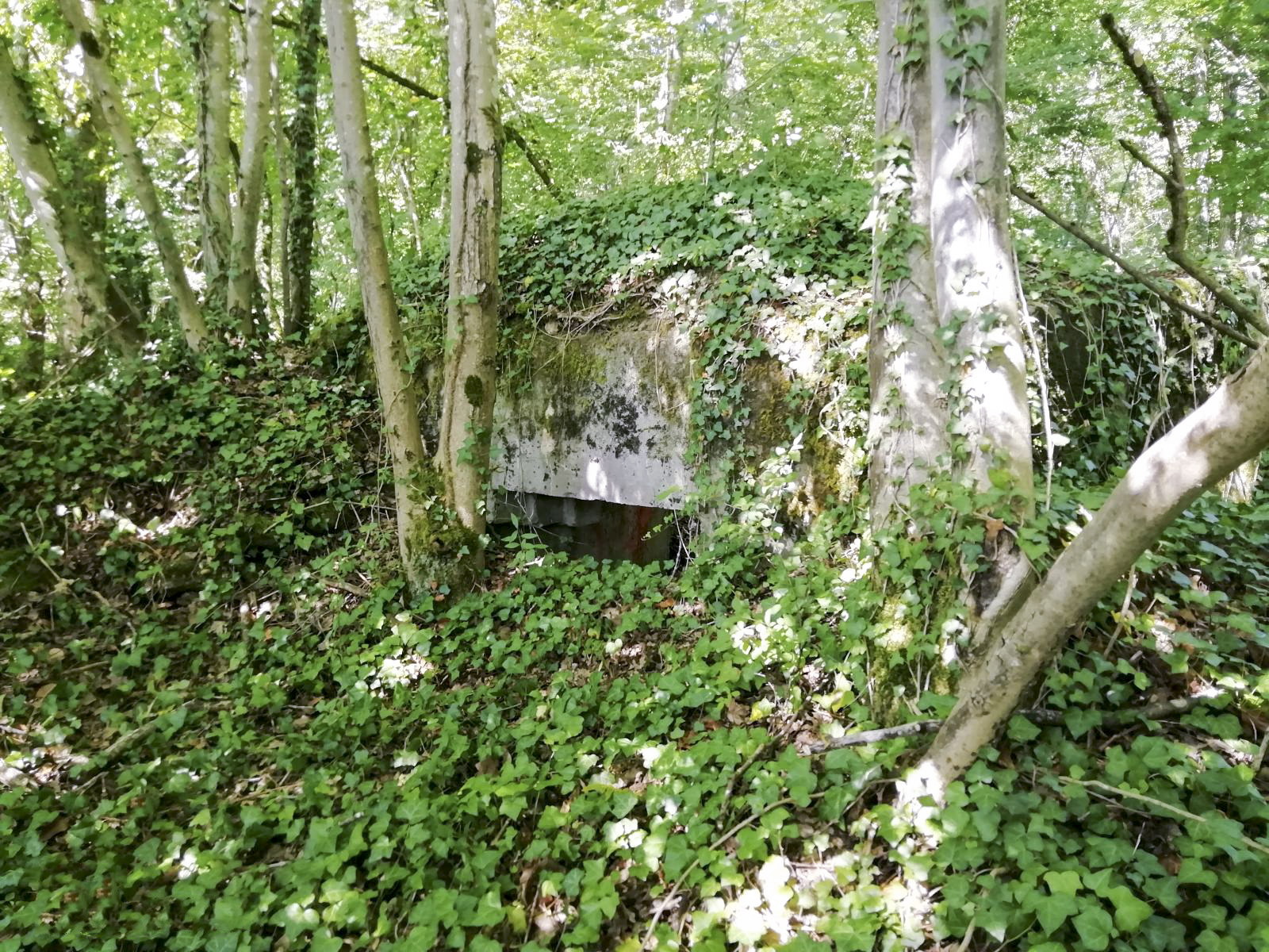 Ligne Maginot - STEINBESCH SUD - (Blockhaus pour canon) - 