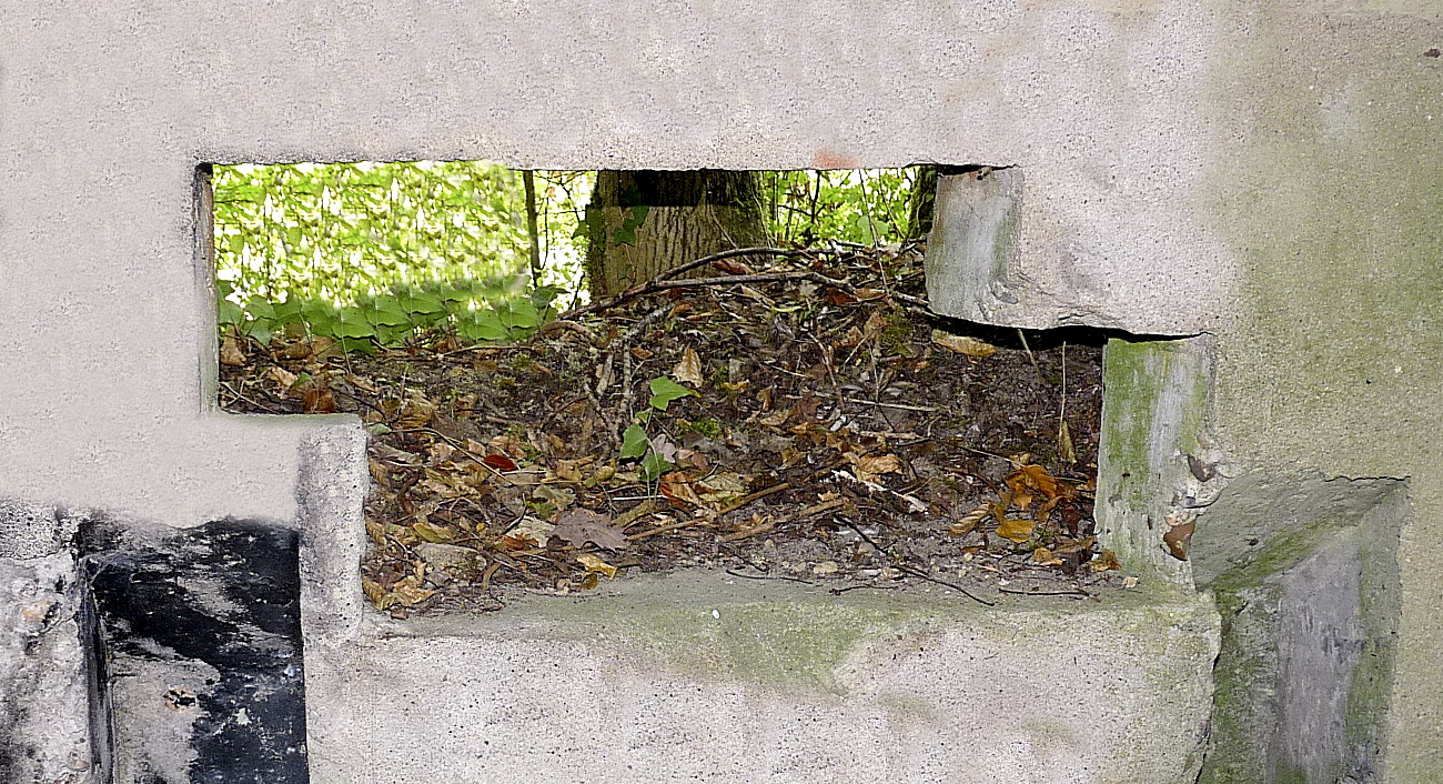 Ligne Maginot - STEINBESCH SUD - (Blockhaus pour canon) - 