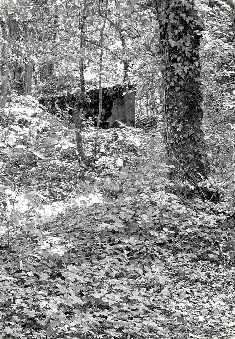 Ligne Maginot - STEINBESCH SUD - (Blockhaus pour canon) - 