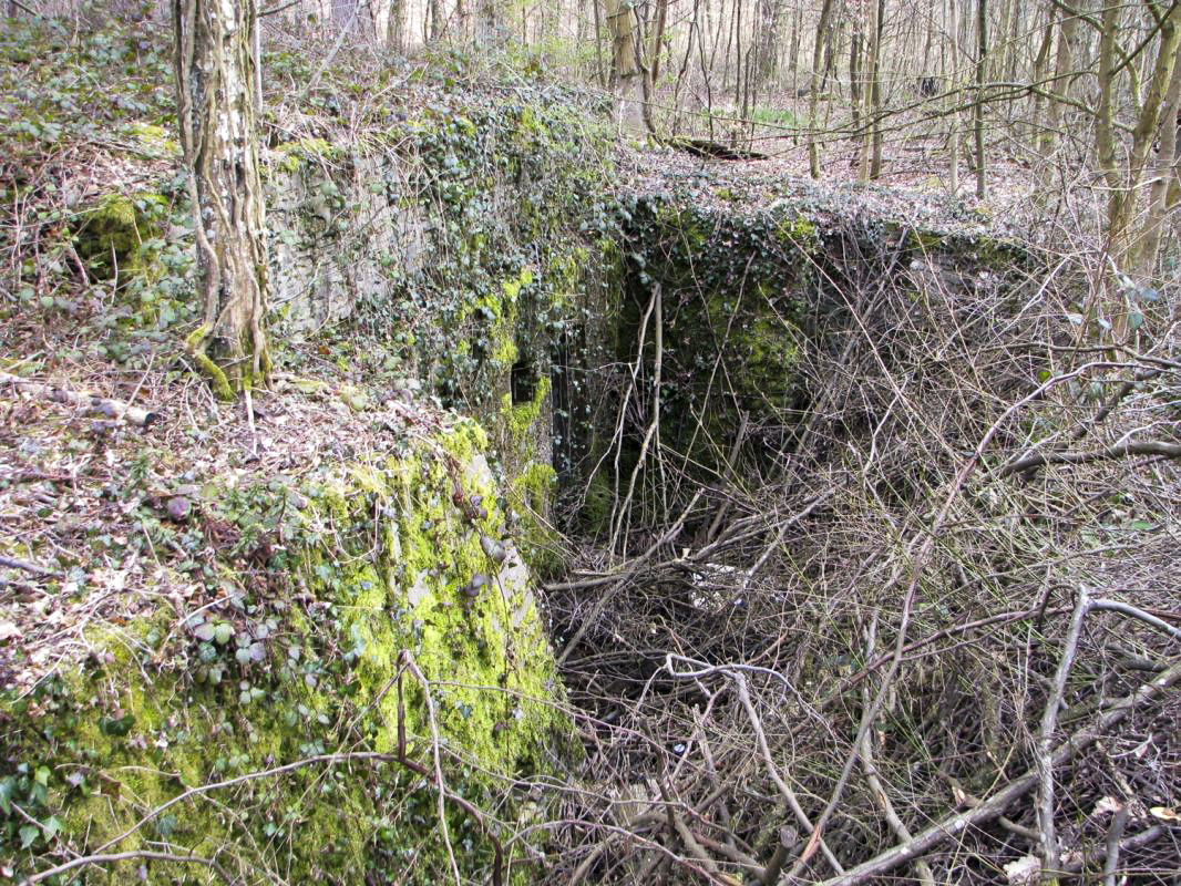Ligne Maginot - STEINBESCH EST (146° RIF) - (PC de Sous-Secteur) - 